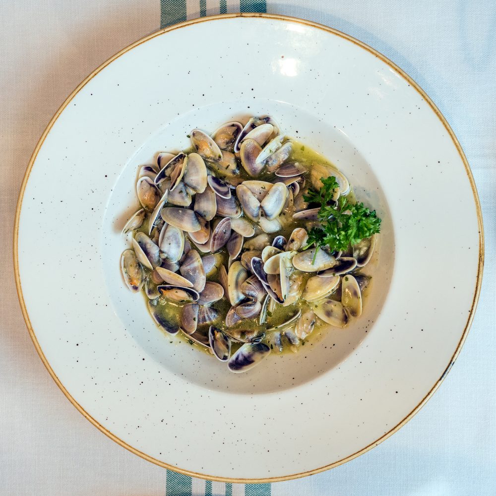 restaurante-gallego-madrid-coquinas-tellinas
