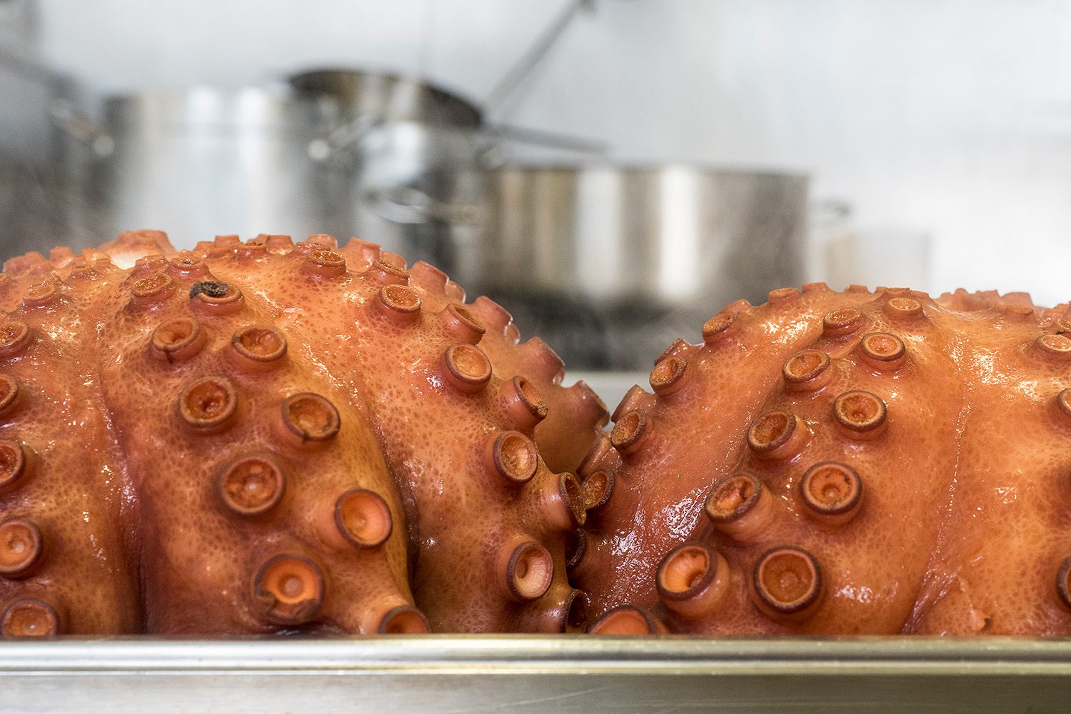 Pulpo cocido y a la parrilla, ¡Pulpo Pasión!